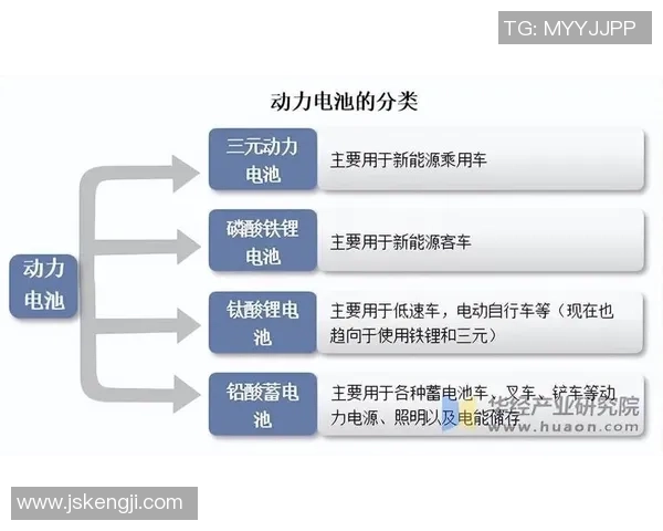 上海羽毛球队的转型之路:深度解析与未来展望 上海羽毛球队的转型之路:深度解析与未来展望